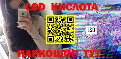 стафф Донской