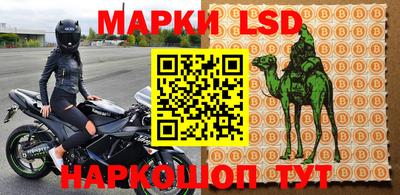 стафф Донской