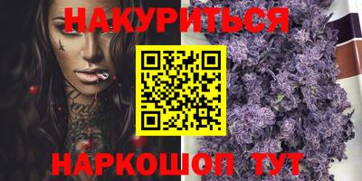 стафф Донской
