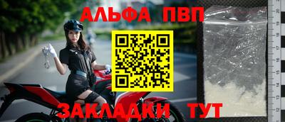 стафф Донской