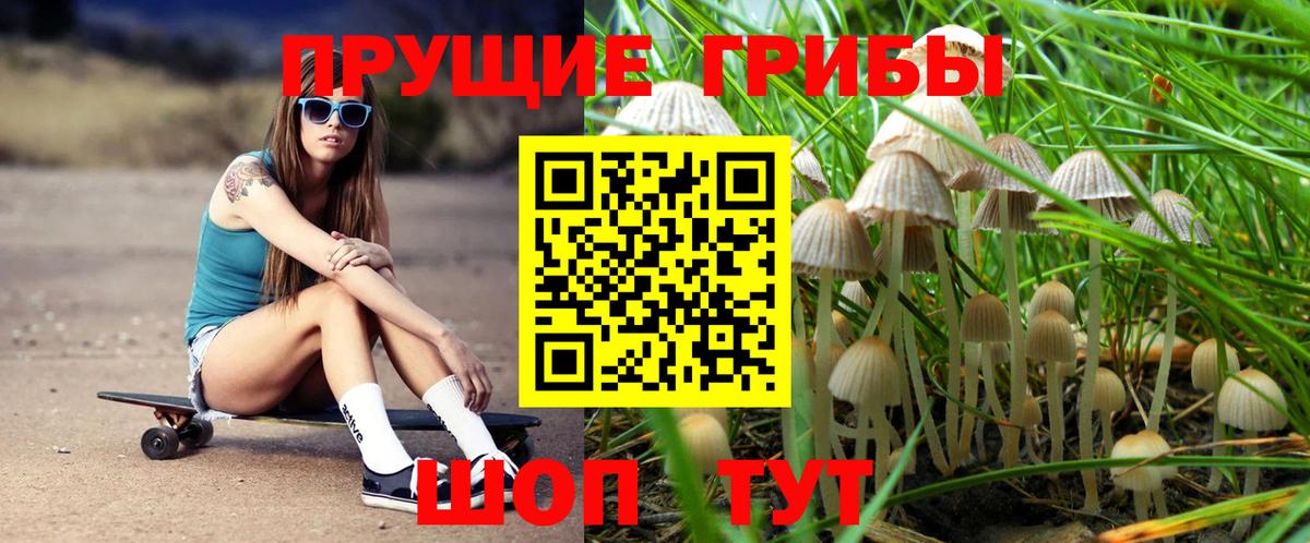 Галлюциногенные грибы Magic Shrooms  Вход с VPN  Нововоронеж 